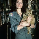 marcia pires de oliveira