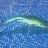 Maria Cândida Bocaiuva