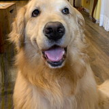 Fernanda Carolina Ferreira Santos