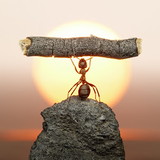 Marcia Ap. de Souza Almeida