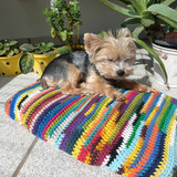 Sheila Regina Guerreiro Sansão