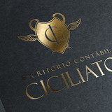 Denise Aparecida Massaranduba