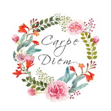 Hadassa Simões de Souza Lima