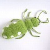 Renata Veloso Coelho