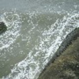 HENRIQUE MUNHOZ NETO