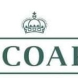 fernanda amorim de carvalho