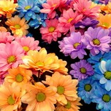 TAMARA PRISCILA DE ARAUJO ARAGÃO