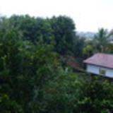 Camila Toffoli Ribeiro