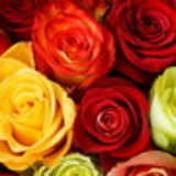 Tiara Ferreira Vasconcelos