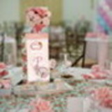 ANA LUCIA ROSA DEPETRIS HADDAD