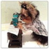 Ludmila Reinert Hasckel