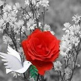 Pasquarelli Carolina