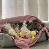 Monia Ciocari Locatelli