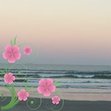 Vivian Patricia Branco Goncalves