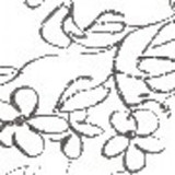 Claudia Aparecida Cipollari de Oliveira