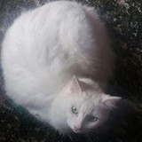 Odete Vieira Vasconcellos