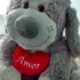 Jacqueline Câmara Terra