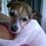 MARIA APARECIDA DE ALMEIDA COELHO