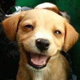 Wilma Artesanato e Estamparia