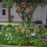 ELAINE CRISTINA PEREIRA