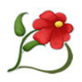 Andreia Cristina Ribeiro