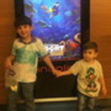 Márcia de Araujo Carvalho