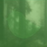 Clarissa Forte Oliveira