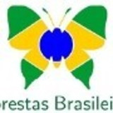 Severian Clistenes Pires Rocha