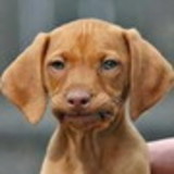 Thaís suelen F silva