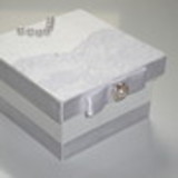 Tayra Lúcia de Jesus Cajazeira Morais