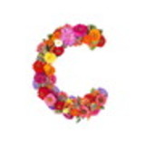 Desirée Calderoni Borlenghi