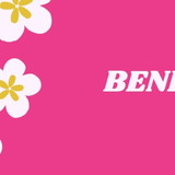 maria helena flenik cosmoski