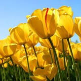 sirlene azevedo santos