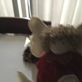 Vera Lucia de Oliveira