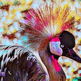 Vanilda Martins Costa