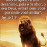 Nilton Santos Junior