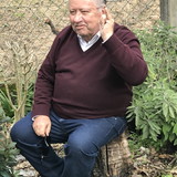 Fernando Soares da Costa jr