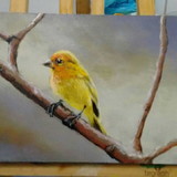 Márcia Machado Igrejas