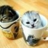 Camila Santos de Arruda