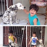 Laura Priscila Barboza de Carvalho