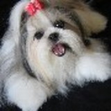 NADJA MARIA DA SILVA