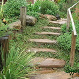 Rodrigo Guaracy Santana