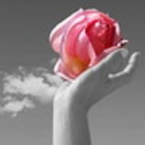 Ligia Personalizados