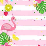 Louise Joyce Gomes da Silva