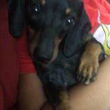 Silvia Martins Kyriakakis