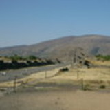 Luciana Pissaia Takasu