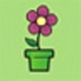 Getulio Walter Jagher e Silva