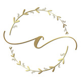 Cactos_Things_Festas