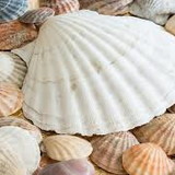 philippe de souza santos