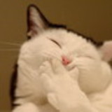 Jamille Nascimento Selva